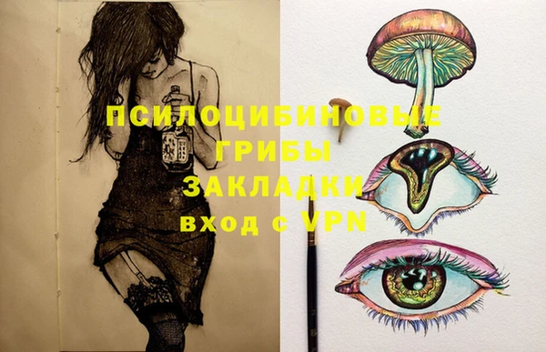 прущие грибы Алексин