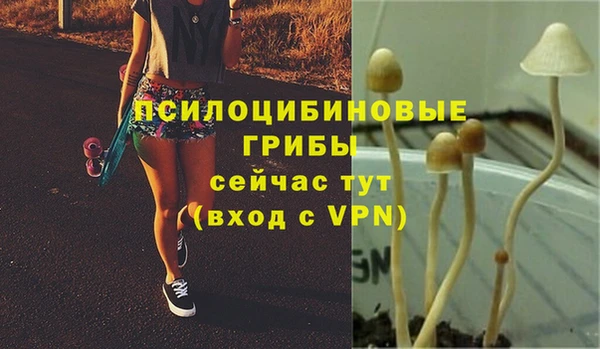MDMA Алзамай