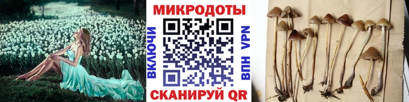 Галлюциногенные грибы мухоморы наркошоп Беломорск